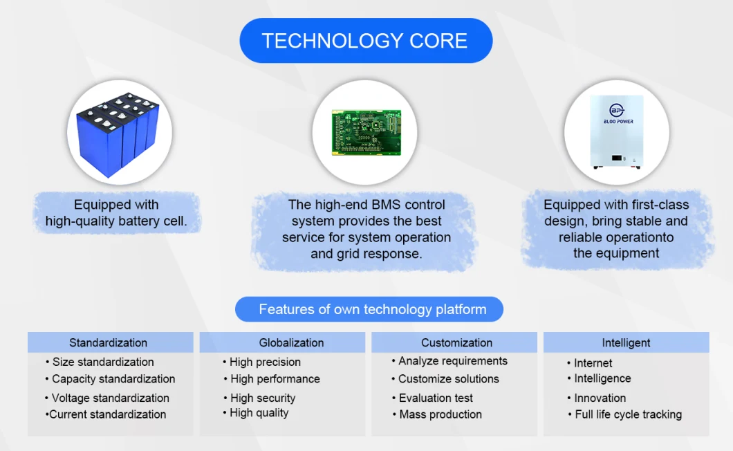 Bloo Power 5 Kwh 5kw 10kwh 48V 200ah 72V 100ah Floor Stand Type Customized Build Deep Cycle Life Rechargeable LFP for Home Battery with Inverter Powerbank
